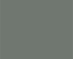 sage green swatch