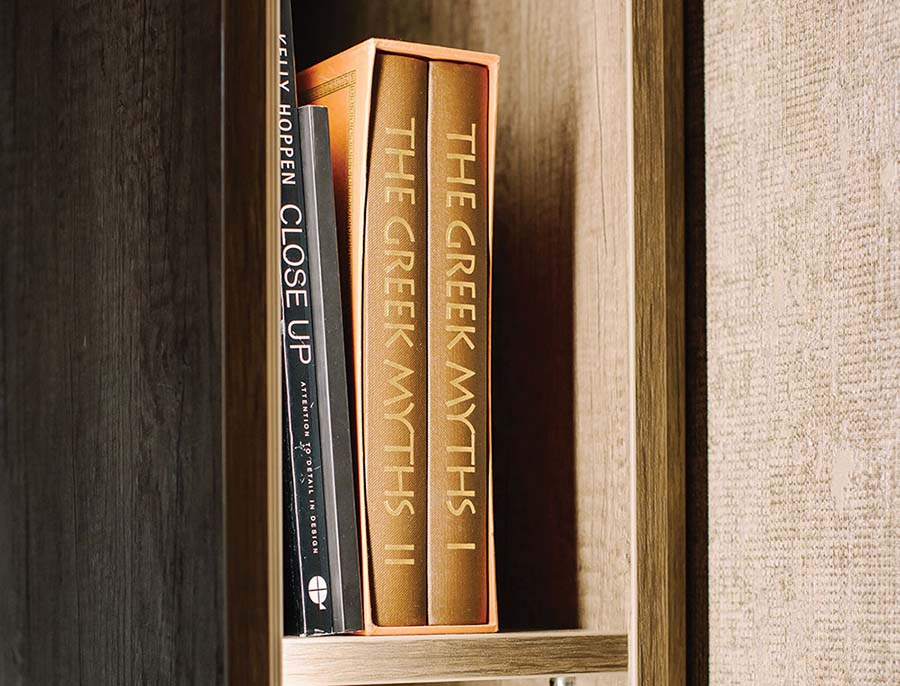 close up detail shot showing books on a shelf
